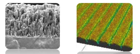 nanowired structure SEM confocal microscopy